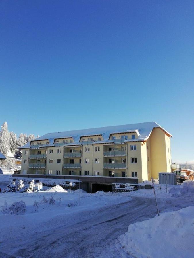 Апартаменти Residenz-Grafenmatt-Feldberg-Schwarzwald Фельдберг Екстер'єр фото